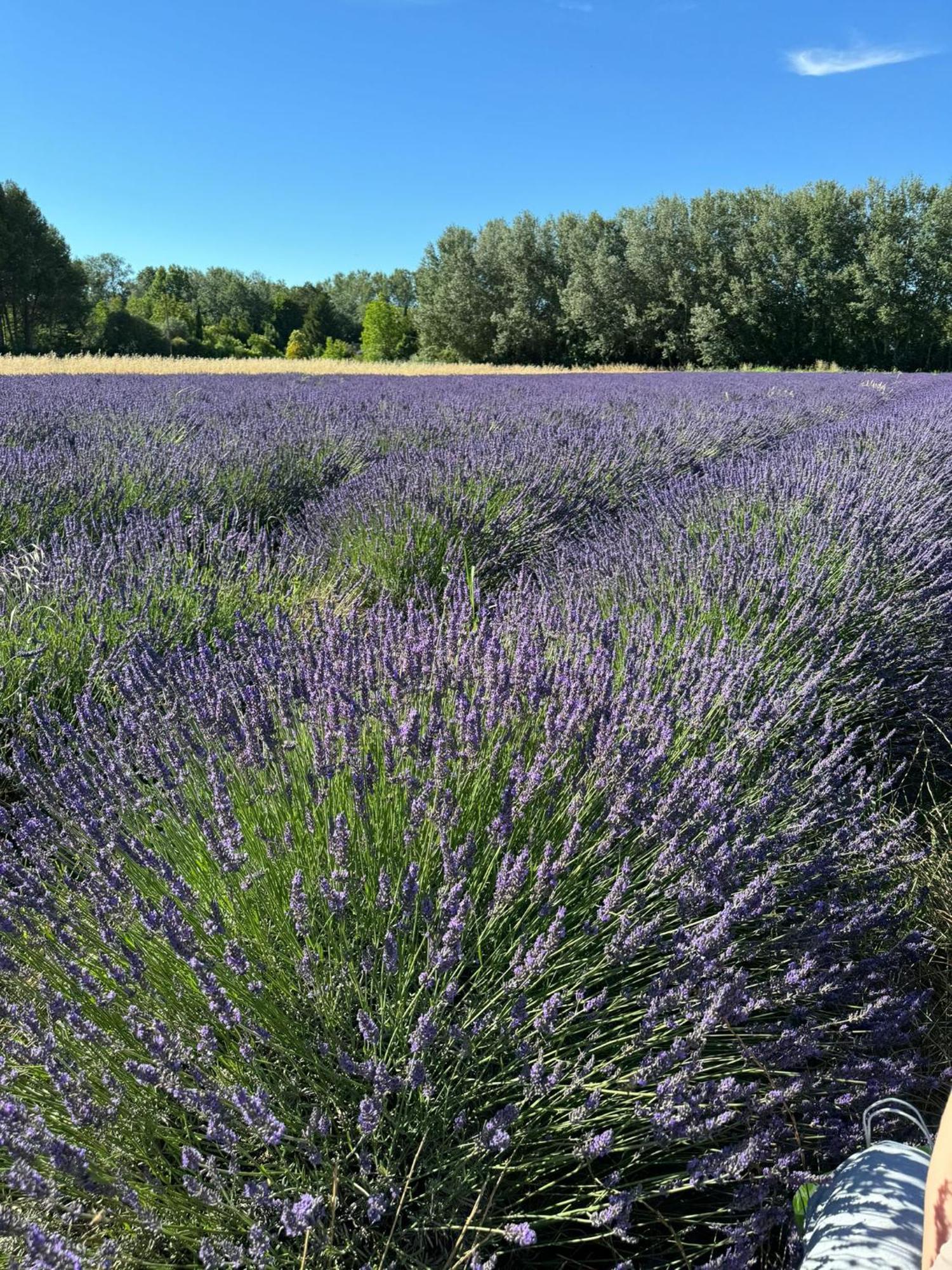 Appartement Neuf Et Au Calme Proche Avignon Althen-des-Paluds Exterior foto